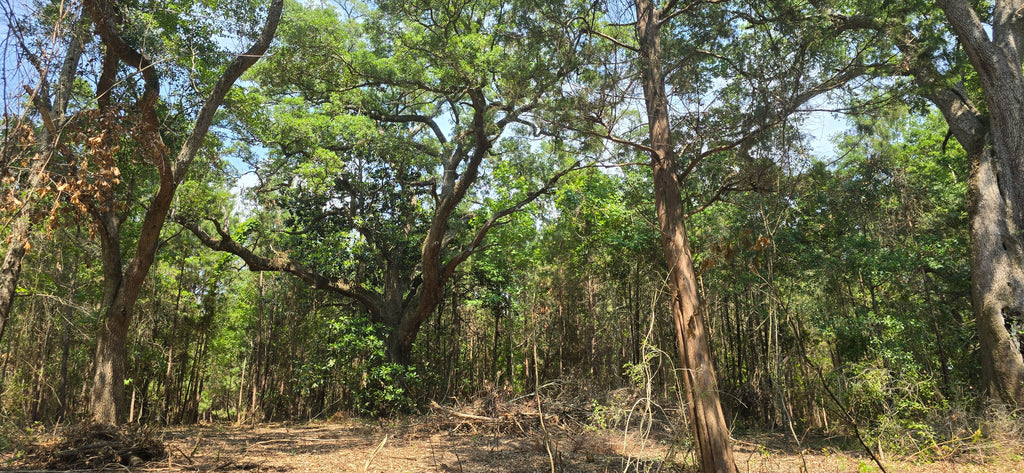 Talent Ln, Daphne AL, 36526