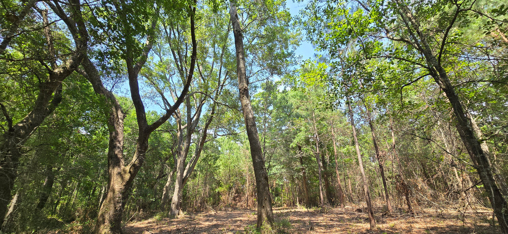 Talent Ln, Daphne AL, 36526