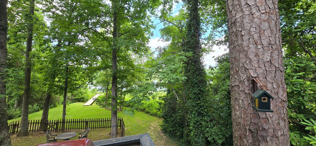 31 Lakeshore Dr, Daphne AL, 36526