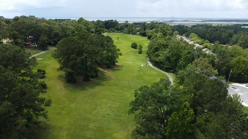 31 Lakeshore Dr, Daphne AL, 36526
